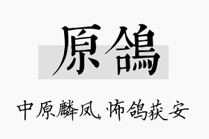 原鸽名字的寓意及含义