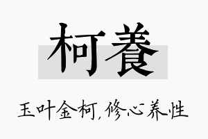 柯养名字的寓意及含义