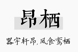 昂栖名字的寓意及含义