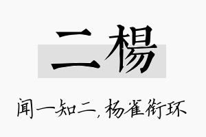 二杨名字的寓意及含义