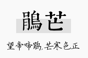 鹃芒名字的寓意及含义