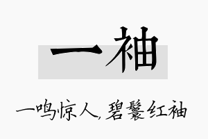 一袖名字的寓意及含义