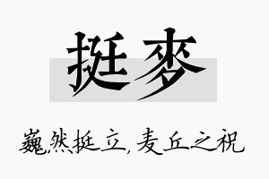 挺麦名字的寓意及含义