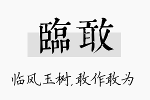 临敢名字的寓意及含义