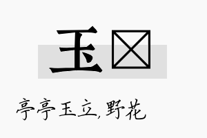 玉莙名字的寓意及含义