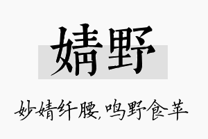 婧野名字的寓意及含义