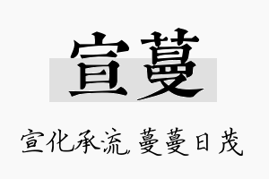 宣蔓名字的寓意及含义