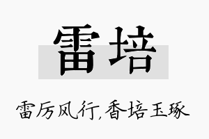 雷培名字的寓意及含义