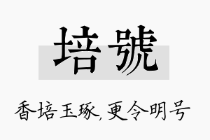 培号名字的寓意及含义