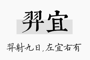 羿宜名字的寓意及含义