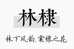 林棣名字的寓意及含义