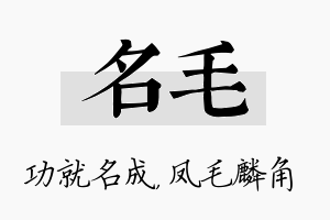 名毛名字的寓意及含义