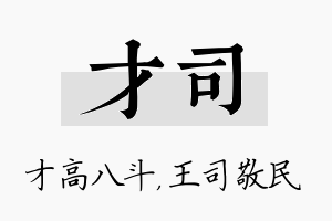 才司名字的寓意及含义