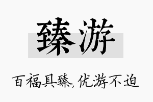 臻游名字的寓意及含义