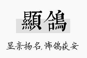 显鸽名字的寓意及含义