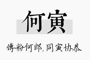 何寅名字的寓意及含义