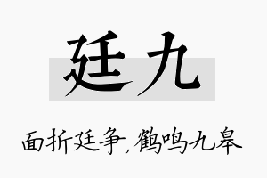 廷九名字的寓意及含义