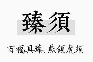 臻须名字的寓意及含义