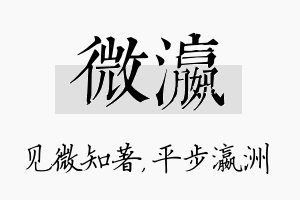 微瀛名字的寓意及含义