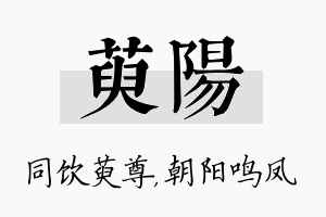 萸阳名字的寓意及含义