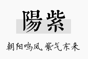 阳紫名字的寓意及含义