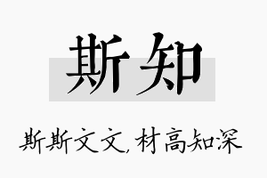 斯知名字的寓意及含义