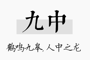 九中名字的寓意及含义