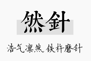 然针名字的寓意及含义