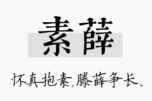 素薛名字的寓意及含义