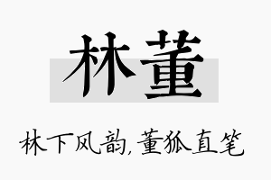 林董名字的寓意及含义