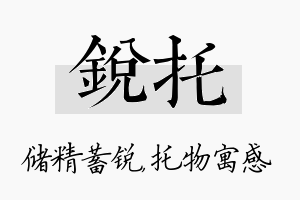 锐托名字的寓意及含义