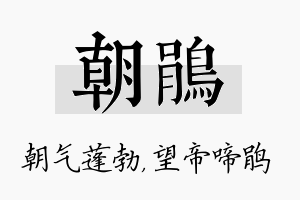 朝鹃名字的寓意及含义