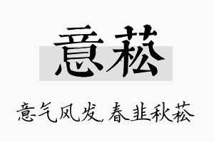 意菘名字的寓意及含义