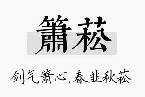 箫菘名字的寓意及含义