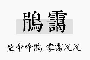 鹃霭名字的寓意及含义