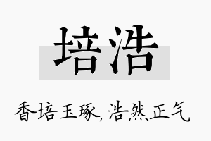 培浩名字的寓意及含义