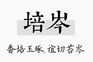 培岑名字的寓意及含义