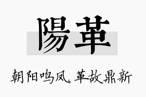 阳革名字的寓意及含义