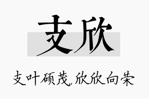 支欣名字的寓意及含义