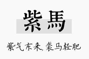 紫马名字的寓意及含义