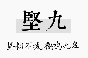 坚九名字的寓意及含义