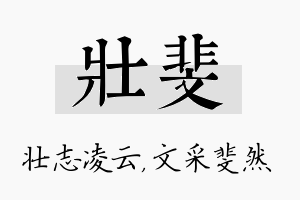 壮斐名字的寓意及含义