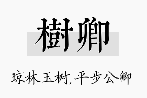 树卿名字的寓意及含义