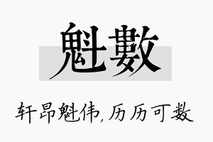 魁数名字的寓意及含义