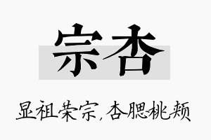 宗杏名字的寓意及含义