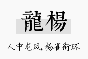 龙杨名字的寓意及含义