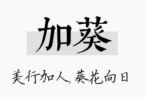 加葵名字的寓意及含义