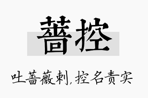 蔷控名字的寓意及含义