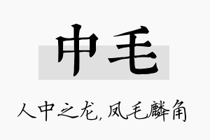 中毛名字的寓意及含义