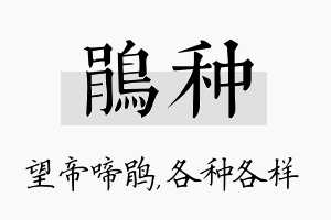 鹃种名字的寓意及含义